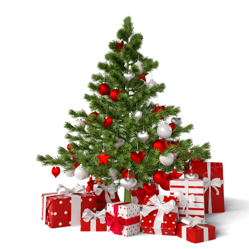 What Makes the Perfect Christmas Tree